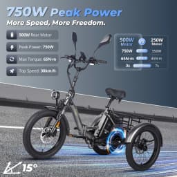 Fafrees F20 Mate Folding Electric Tricycle Adults 20 Inch Cargo E-bike 500W with 48V 21Ah/23.45Ah Removable Battery