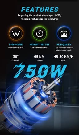 DUOTTS C29 Electric Bicycle 750W Motor 48V30AH Lithium Battery Adult Electric Bike 29-inch Tire Riding City Mountain Snow E-bike