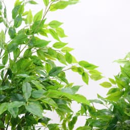 Artificial Ficus Tree 160/180cm Tall Fake Potted Ficus Tree With Planter Fake Ficus Tree For Foyer Porch Decor Home Office