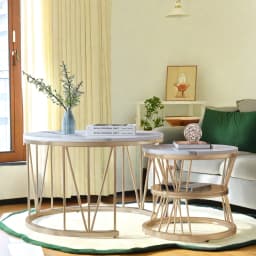 ROSAHQNDA 2pcs Modern Coffee Tables, Stylish Nesting Tables with Stable Stands, Modern Furnitures for the Living Room