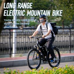 ChamRider DM427 E-bike Long Range Lightweight Stylish Commuter Delivery E-MTB for European Teens Riders Electric Bike