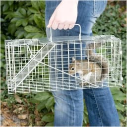 One-Door Live Animal Traps Cage Catcher for Mouse Squirrel Rabbit Opossum Skunk Mink Chipmunk, Humane Rat Trap Catch and Release