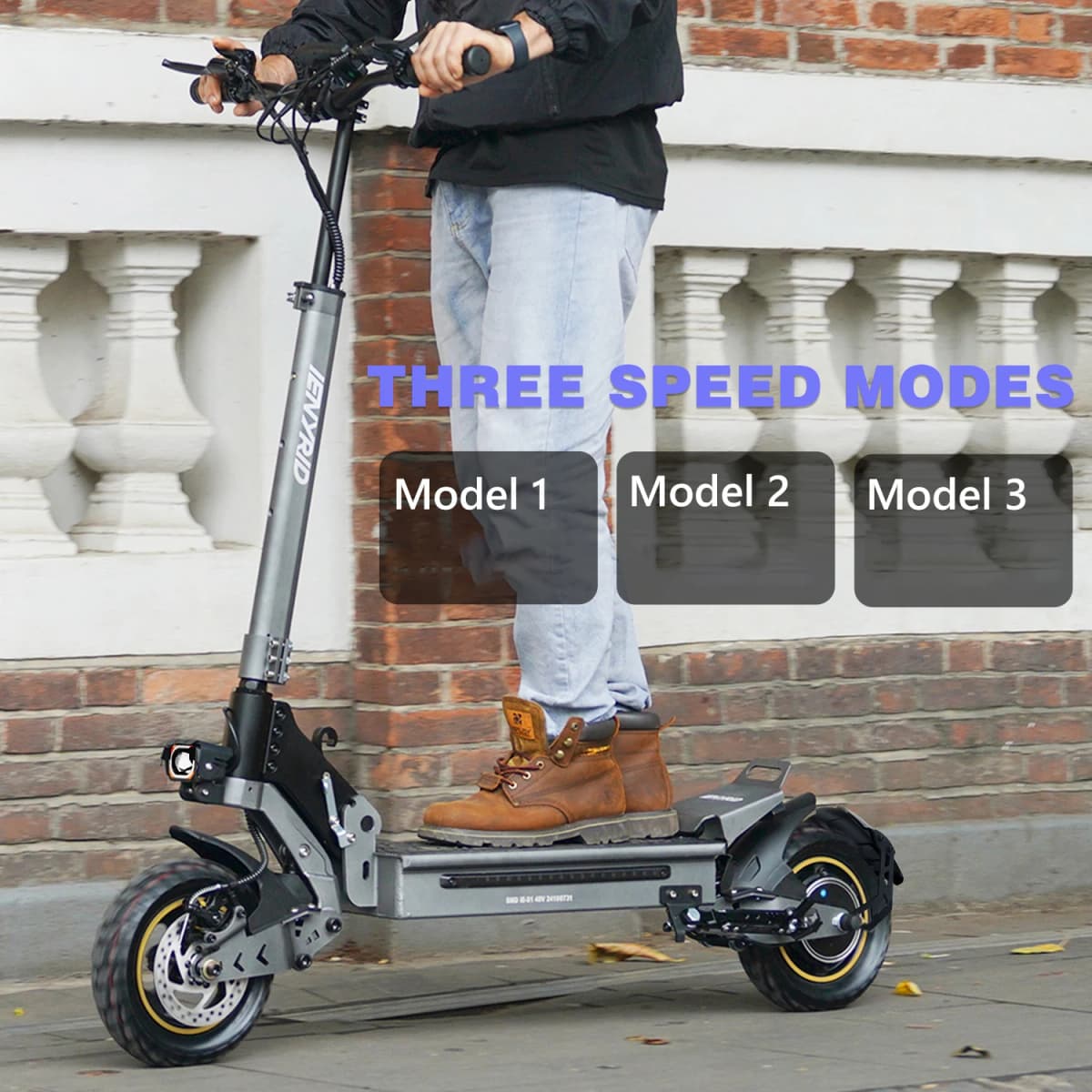 Ienyrid Ie-S1 Electric Scooter for Adult 48V15Ah Battery Auto Cruise Control System 10" Tire