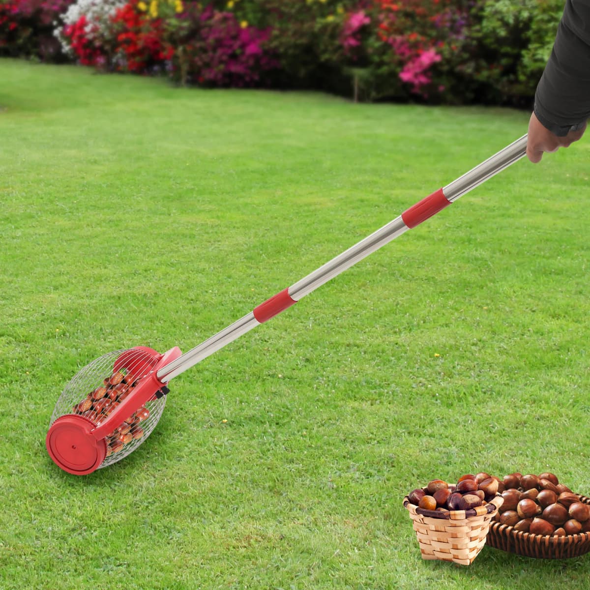 No Bending Nut Gatherer - Adjustable Handle Nut Collector 30kg Capacity Side Dumping Port for Walnuts/Golf Balls (W/Storage Bag)