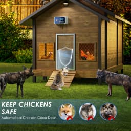 Auto Chicken Control Box,LED Display Chicken Door Control Box with Remote Control and Timer,4kg Traction(without door)