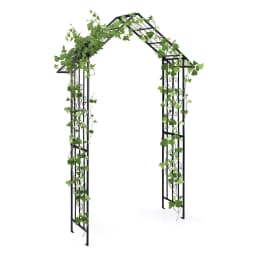 Metal Rose Arch, Garden Arch for Climbing Plants, Rose Grid with Roof-Shaped Tip & 4 Ground Stakes, 140 x 40 x 223 cm