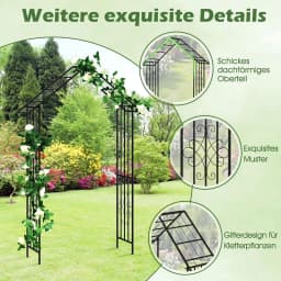 Metal Rose Arch, Garden Arch for Climbing Plants, Rose Grid with Roof-Shaped Tip & 4 Ground Stakes, 140 x 40 x 223 cm