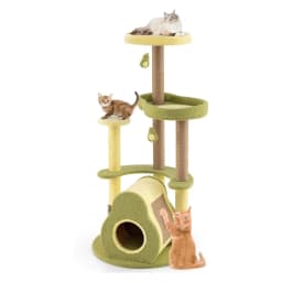 Wooden Cat Scratching Post, Avocado Design, Cat Tree with Platforms & Cat Cave & Toy & Care Brush & Scratching Board, Cat