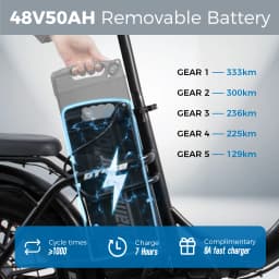 ChamRider DT450 Ebike - 48V50AH Monster Battery, 250KM Epic Range & 750W Power - Ultimate Pick for European Delivery Experts