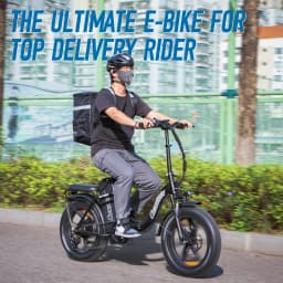 ChamRider DT450 Ebike - 48V50AH Monster Battery, 250KM Epic Range & 750W Power - Ultimate Pick for European Delivery Experts