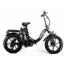 ChamRider DT450 Ebike - 48V50AH Monster Battery, 250KM Epic Range & 750W Power - Ultimate Pick for European Delivery Experts