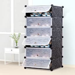 Shoe Rack, Plastic Shoe Cabinet, Storage With Door, Dust and Water Resistant, 6 Compartments for 12 Pairs of Shoes, Black