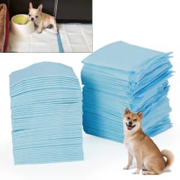 Pet Urine Pad Thickened Absorbent Disposable Dog Urine Pad Training Diaper 100 Pieces Cat Urine Pad Pet Supplies