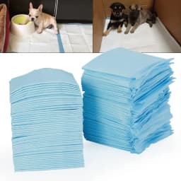 Pet Urine Pad Thickened Absorbent Disposable Dog Urine Pad Training Diaper 100 Pieces Cat Urine Pad Pet Supplies
