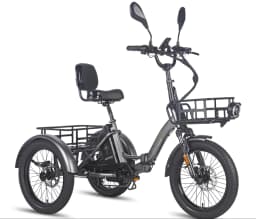 FAFREES F20 Mate Electric Tricycle 500W Brushless Motor 48V/23.45Ah Battery 20*3.0-inch Fat Tires 25km/h Max Speed 110km Max
