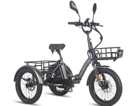 FAFREES F20 Mate Electric Tricycle 500W Brushless Motor 48V/23.45Ah Battery 20*3.0-inch Fat Tires 25km/h Max Speed 110km Max