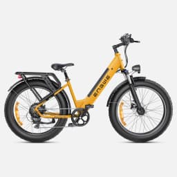 Adult Electric Bike with 250W Motor 48V16AH Removable Internal Battery Max Speed 25KM/H Electric Bicycle 7 Speed 26'City E-bike