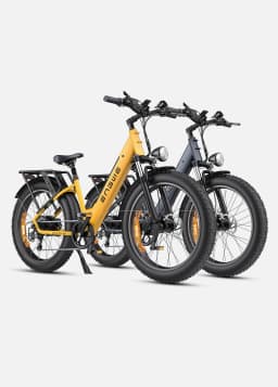 Adult Electric Bike with 250W Motor 48V16AH Removable Internal Battery Max Speed 25KM/H Electric Bicycle 7 Speed 26'City E-bike