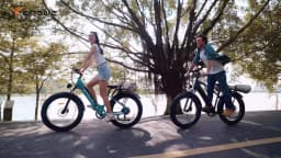 Adult Electric Bike with 250W Motor 48V16AH Removable Internal Battery Max Speed 25KM/H Electric Bicycle 7 Speed 26'City E-bike