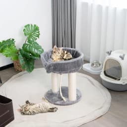 Small 4-in-1 Cat Scratching Post with Soft Seat & Base & Fur Ball and Sisal Rope, Wooden Cat Scratching Post, Cat Furniture