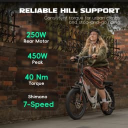 Fafrees Folding Electric Bicycle Adults 20 Inch Fat Tire City E-bike with 36V 18Ah Removable Battery 90km Range