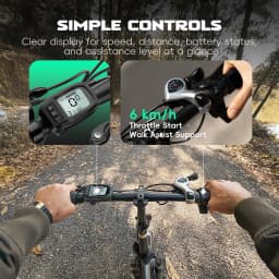 Fafrees Folding Electric Bicycle Adults 20 Inch Fat Tire City E-bike with 36V 18Ah Removable Battery 90km Range