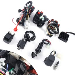 Complete Electric Wiring Harness Kit for Motorcycle Beach Bike ATV QUAD 125-250CC with Rectifier, CDI, Spark Plug, Ignition Coil