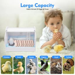 20 Eggs Incubator, Chicken Brooding Incubator with Thermometer, Household Brooder Farm Chicken Goose Duck Bird Egg Incubat