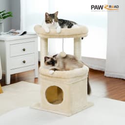 Small Cat Tree with Natural Sisal Scratching Posts Cat Tower for Indoor Cats Cozy Cat Condo Cat Scrapers Accessories Kitten Toys