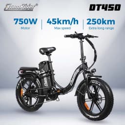 ChamRider DTS425 Ebike 48V25AH Battery 125KM Range 750W Power Best Value Choice for European Food Delivery Riders Electric Bike