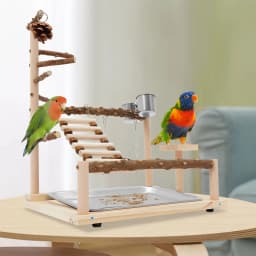Wooden Bird Playground, Bird Playground, Parrot Playground