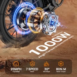 URLIFE E20 Electric Bicycle 250W Motor 48V13AH Removable Lithium Battery Adult Electric Bike 20-inch Tire Urban Commuter E-bike