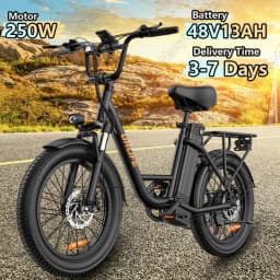 URLIFE E20 Electric Bicycle 250W Motor 48V13AH Removable Lithium Battery Adult Electric Bike 20-inch Tire Urban Commuter E-bike
