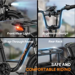 URLIFE E20 Electric Bicycle 250W Motor 48V13AH Removable Lithium Battery Adult Electric Bike 20-inch Tire Urban Commuter E-bike