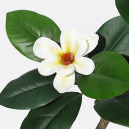 S-Shape Artificial Rubber Tree with White Planter Faux Plants Indoor Floor Artificial Trees with Magnolia Flowers for Home Decor