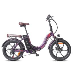 Fafrees F20 Pro Folding Electric Bike Adults City E-bike with 36V 18Ah Removable Battery