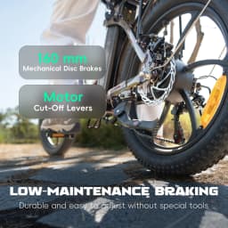 Fafrees F20 Pro Folding Electric Bike Adults City E-bike with 36V 18Ah Removable Battery