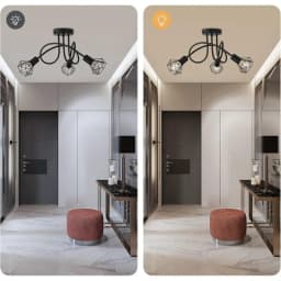 Industrial 3-Light Black Aluminum Ceiling Lamp Cage Design Indoor Lighting for Kitchen Hall Bedroom Living Room