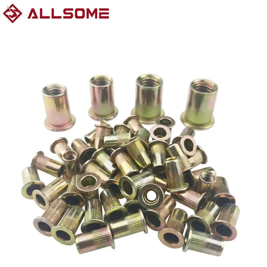 ALLSOME 300pcs Head Rivet Nuts Set M3 M4 M5 M6 M8 M10 Nuts Insert Reveting Multi Size Rivet Nuts Collocation with BOX HT2599
