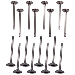 16x Valves Exhaust Valve for Audi A1 A2 A3 for VW Beetle Eos Golf 036109601S