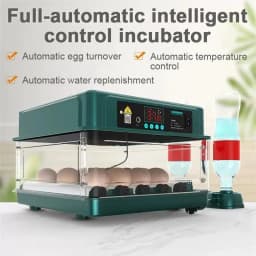 9/15/24/36 Eggs Incubator With Drawer Type EggIncubator With Automatic Water Ionic Waterbed Replenishment And Temperature Contro