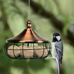 Tit dumpling holder, bird feeding station with iron hanging bars, feeding station for wild birds birds, bird feeder for