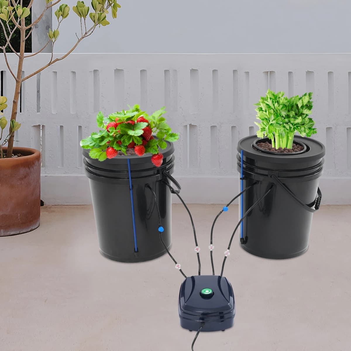 2Pcs Hydroponic System Grow Kit 5 Gallon Deep-water Culture Mechanism with Air Pump Soilless Cultivation for Flowers Vegetables