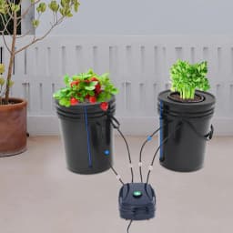 2Pcs Hydroponic System Grow Kit 5 Gallon Deep-water Culture Mechanism with Air Pump Soilless Cultivation for Flowers Vegetables