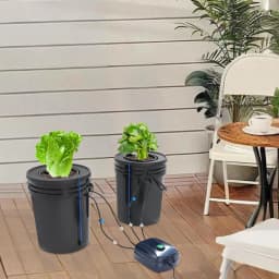 2Pcs Hydroponic System Grow Kit 5 Gallon Deep-water Culture Mechanism with Air Pump Soilless Cultivation for Flowers Vegetables