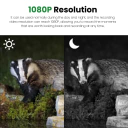 16MP 1080P Outdoor Camera Field Detection Infrared Camera 2.0 Inch TFT Color Display Day Night Use Hunts Night-Visions Camera