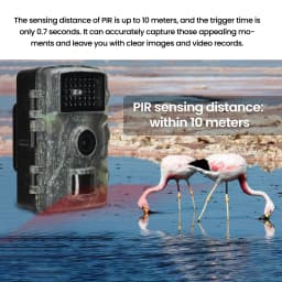 16MP 1080P Outdoor Camera Field Detection Infrared Camera 2.0 Inch TFT Color Display Day Night Use Hunts Night-Visions Camera