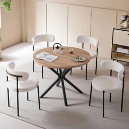 EGOONM 2/4/6Pcs Nordic Style Dining Chairs Upholstered Kitchen Chairs with Teddy Velvet Chair Home Dining Room Kitchen Chairs