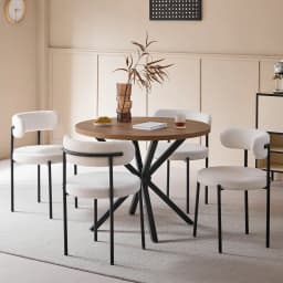 EGOONM 2/4/6Pcs Nordic Style Dining Chairs Upholstered Kitchen Chairs with Teddy Velvet Chair Home Dining Room Kitchen Chairs