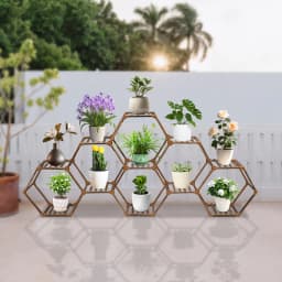Plant Stand Wear-Resistant Large Wooden Plant Shelf Large Capacity Flowers Rack for Living Rooms/Foyers/Bedrooms/Balconies